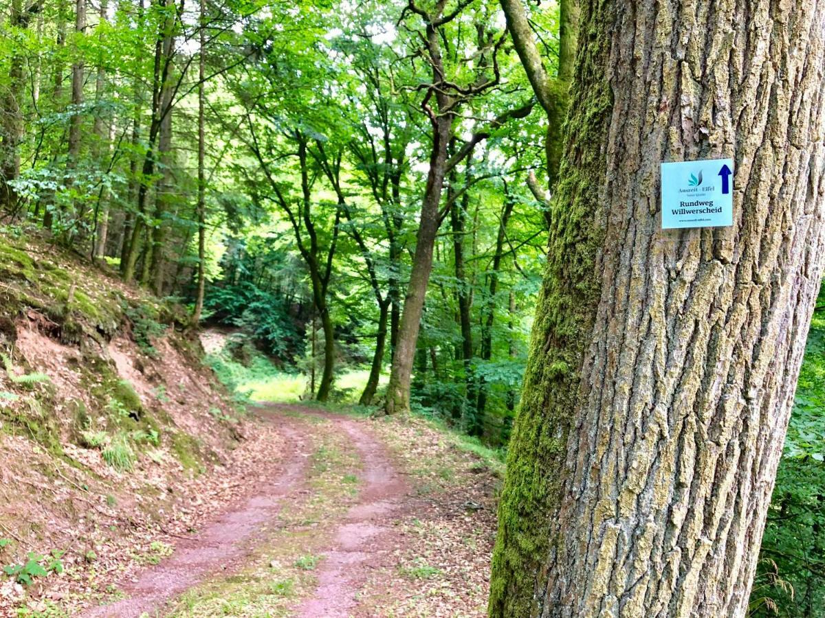 Auszeit-Eifel Eifelhaus "Burgass 1807" Sauna & Badezuber Willwerscheid Esterno foto